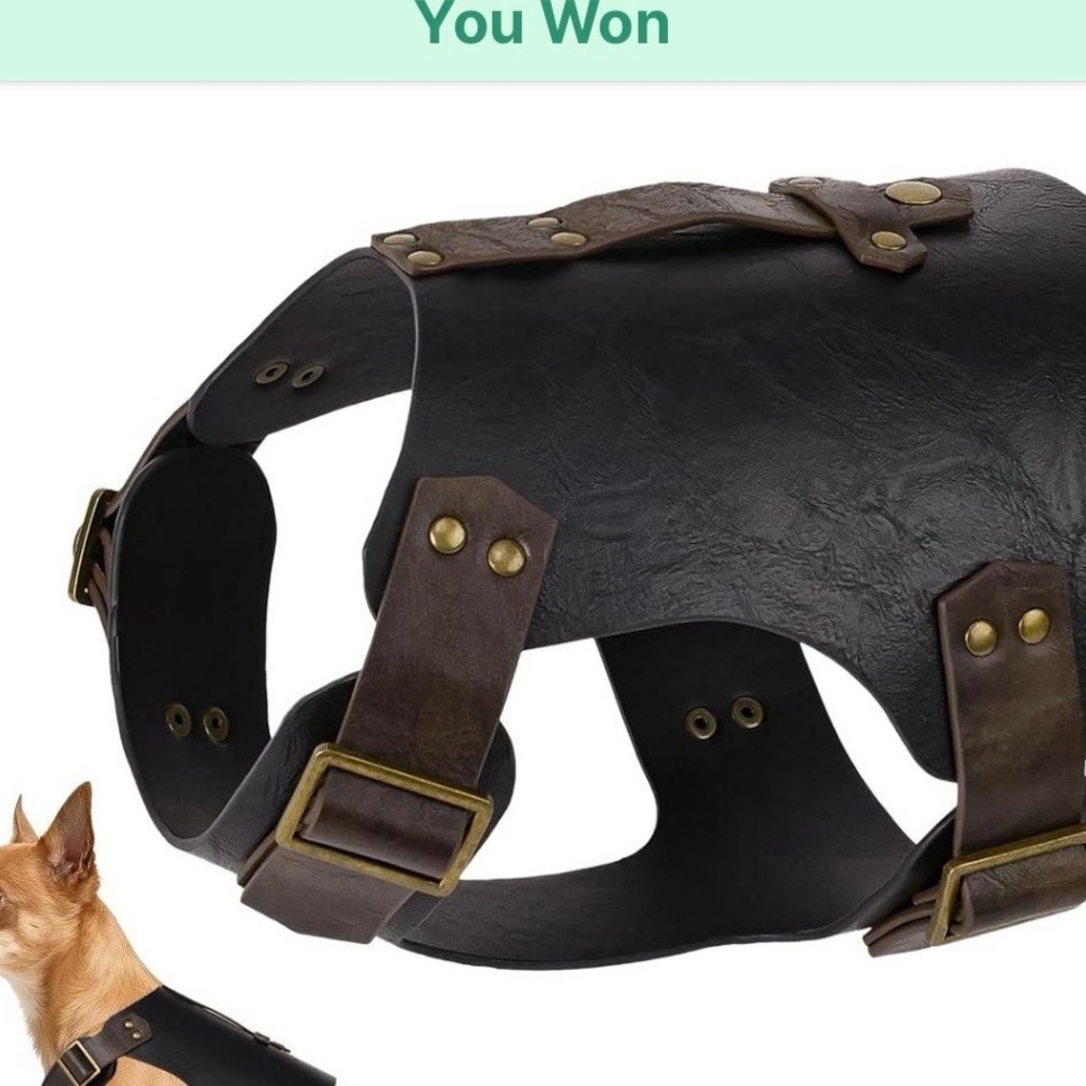 Medieval dog armor